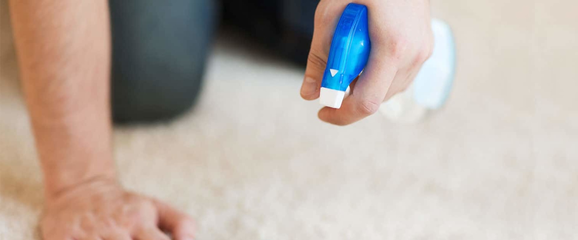 What is the best homemade carpet cleaning solution?