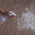 What is the easiest way to clean carpet at home?